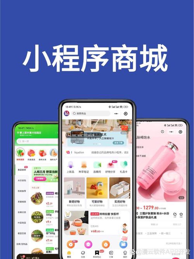 APP开发：打造独特的数字产品